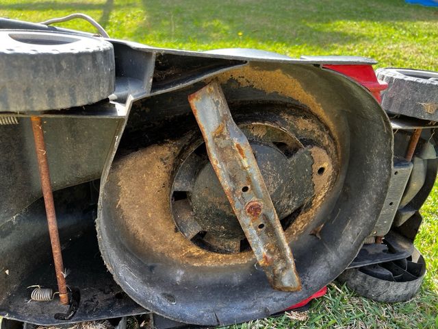 Cortacésped Bosch sin bolsa