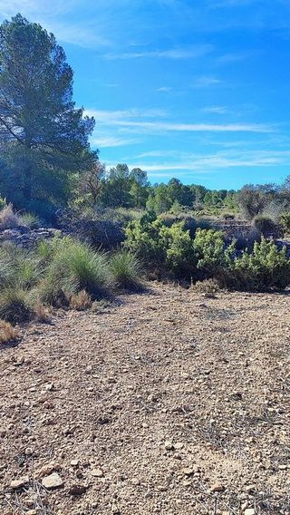 Solar en venta en Monóvar/Monòver