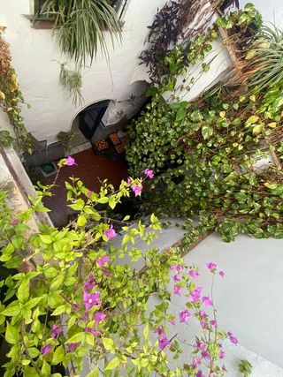 Local comercial en venta en Centro en Mérida