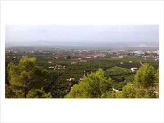 Terreno en venta en Carcaixent