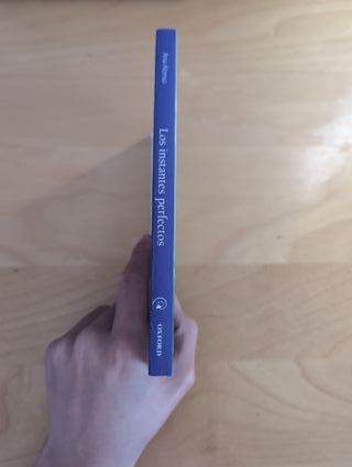 Los instantes perfectos