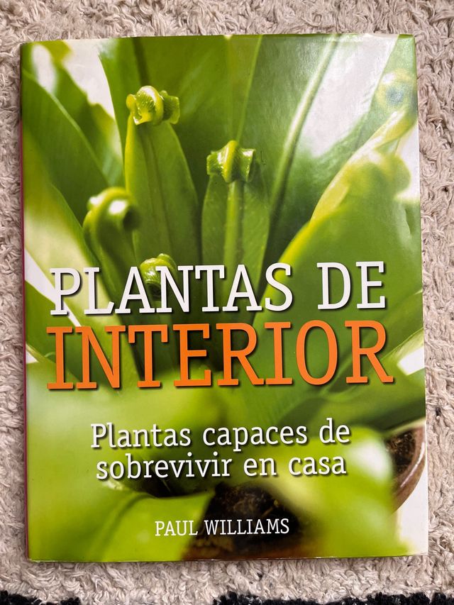 Plantas de interior plantas capaces de sobreviv...