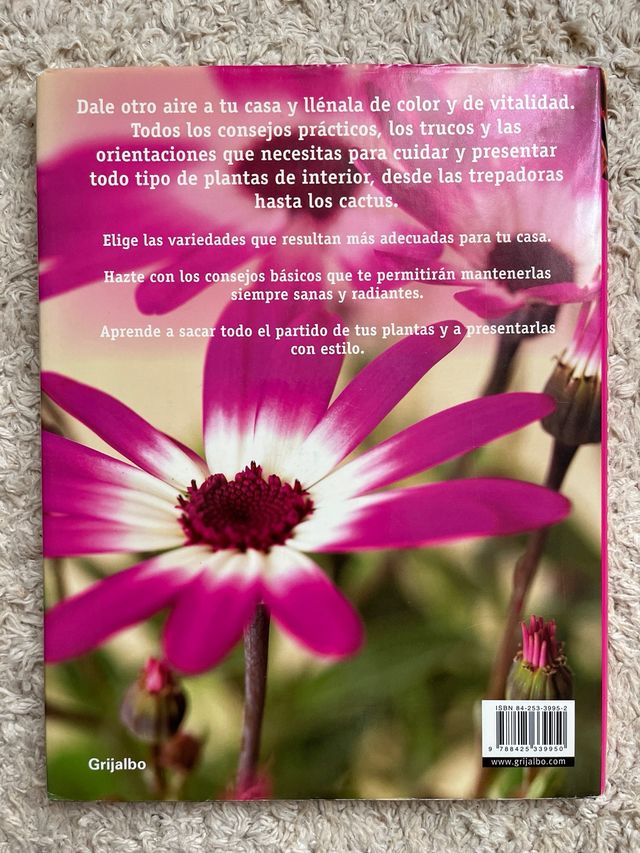 Plantas de interior plantas capaces de sobreviv...