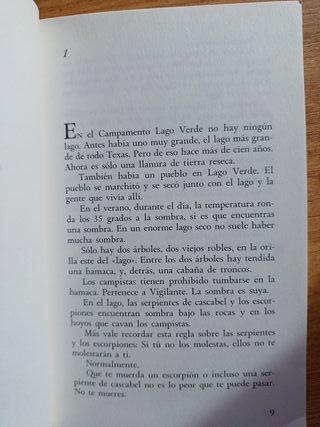 Libro Hoyos