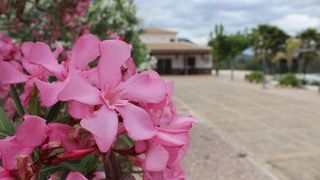 Chalet en venta en Moratalla