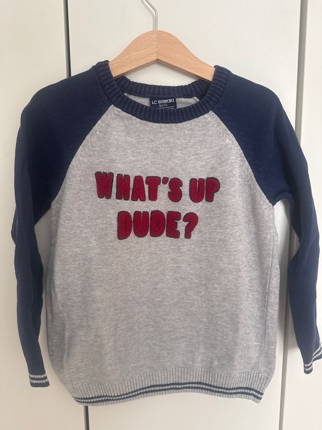 Jersey LC Waikiki What's Up Dude? 4-5 años