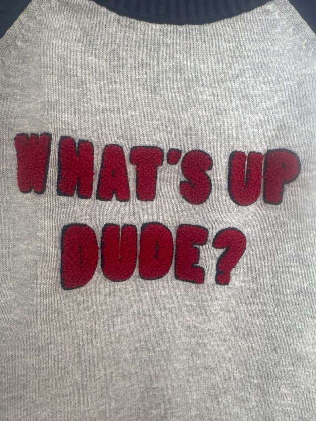 Jersey LC Waikiki What's Up Dude? 4-5 años