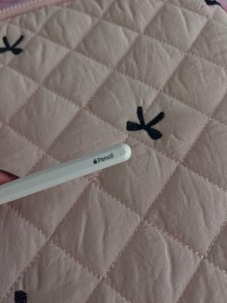 Apple Pencil estropeado