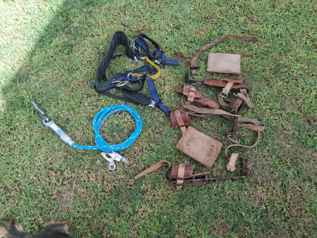 Equipo para podar palmeras y árboles