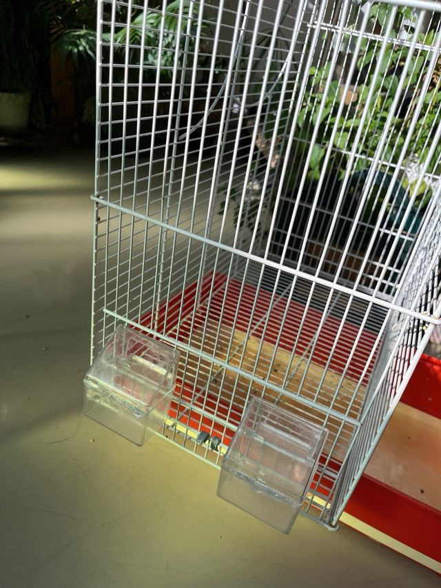 Jaula grande para pájaros