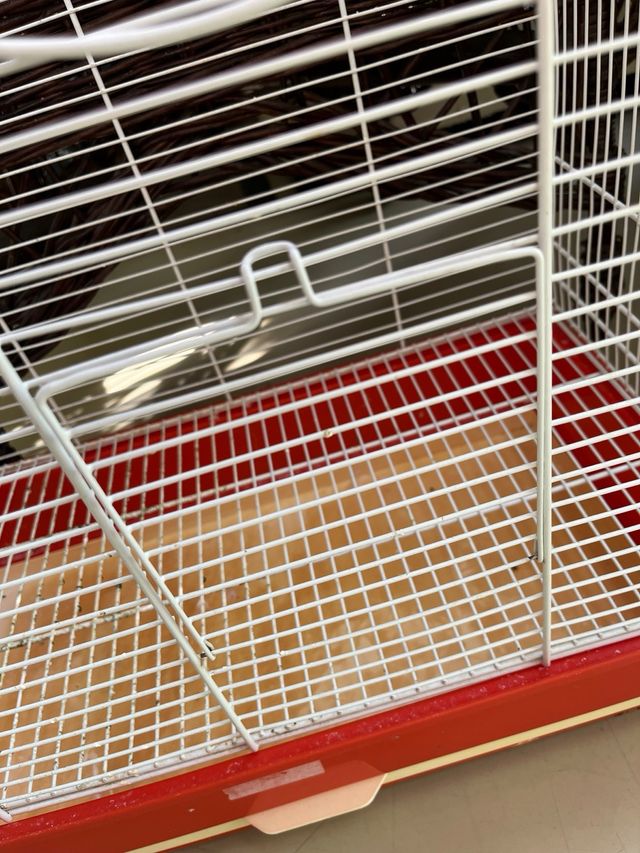 Jaula grande para pájaros