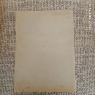 Volantino Garibaldi NON HO MAI ADERITO