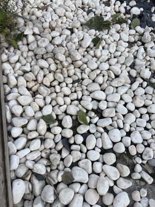 Piedra pizarra y bolos blancos