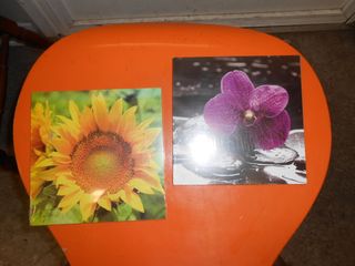 2 Quadretti Lupia Chantal Girasole Orchidea