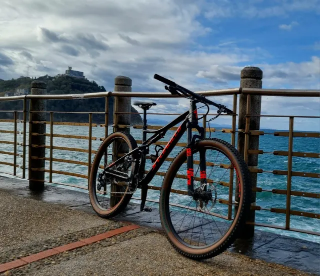 Bici MTB Specialized Epic 29 L