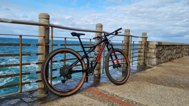 Bici MTB Specialized Epic 29 L