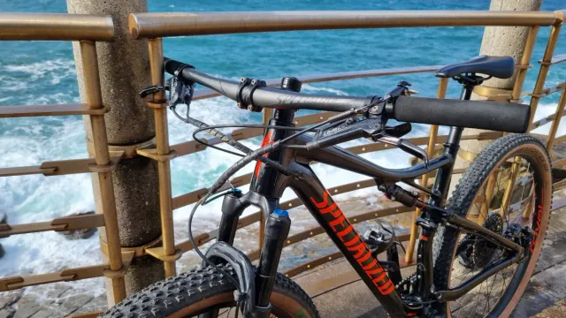 Bici MTB Specialized Epic 29 L