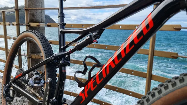 Bici MTB Specialized Epic 29 L