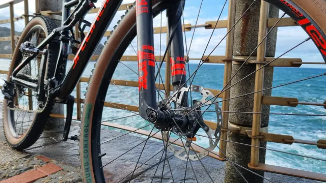 Bici MTB Specialized Epic 29 L