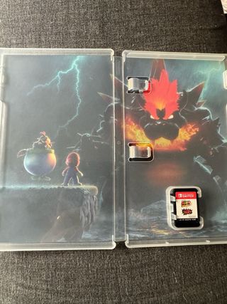 Super Mario 3D World + Bowser's Fury Switch