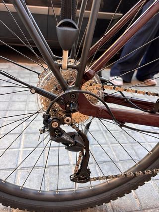 Bicicleta Eléctrica Trek talla L