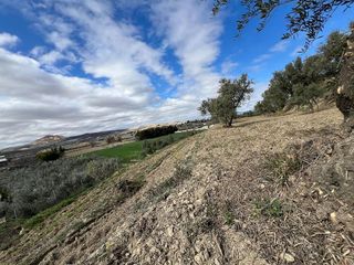 Terreno en venta en Alhendín