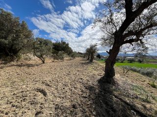 Terreno en venta en Alhendín