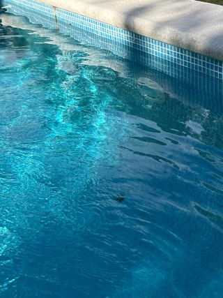 empresa dedicada a mantenimiento y limpiez piscina