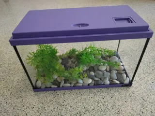 Pecera pequeña morada con piedras y plantas