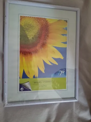 Lote 3 Marcos de Fotos Blancos