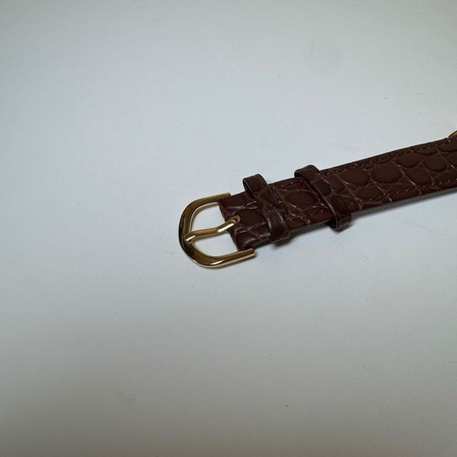 Reloj Omega Automático Vintage Calibre 266