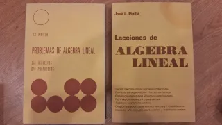 Pack Lecciones y Problemas de álgebra lineal - PIN
