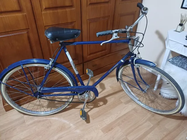 Bicicleta Raleigh Sports Vintage Unisex