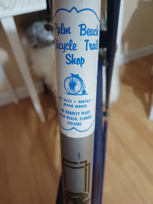 Bicicleta Raleigh Sports Vintage Unisex