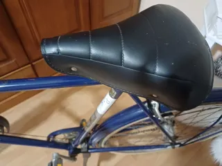 Bicicleta Raleigh Sports Vintage Unisex