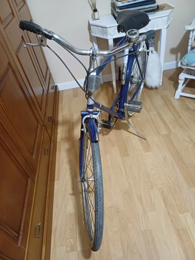 Bicicleta Raleigh Sports Vintage Unisex