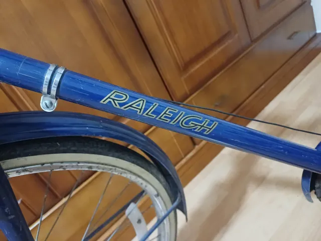 Bicicleta Raleigh Sports Vintage Unisex