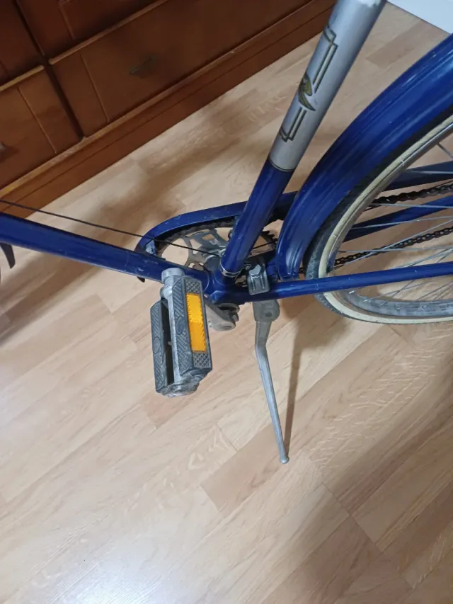 Bicicleta Raleigh Sports Vintage Unisex