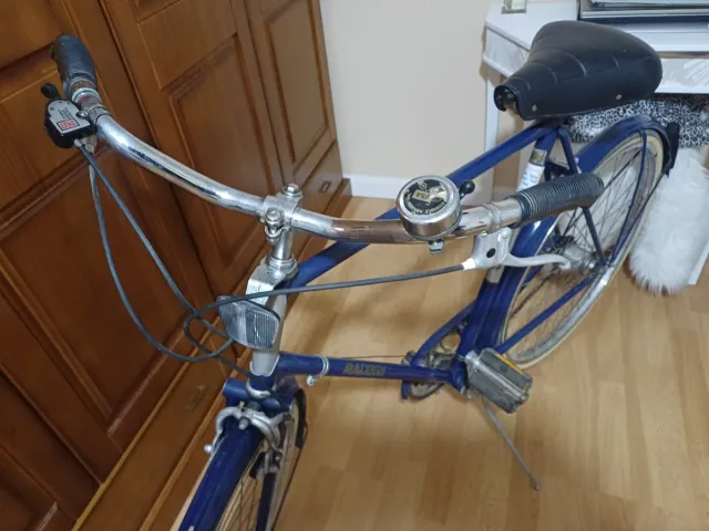 Bicicleta Raleigh Sports Vintage Unisex