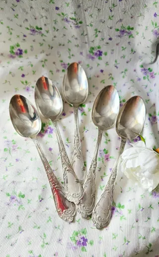 Set 5 Cucchiai in Argento 800