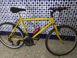 Lote 10 Bicicletas: 7 Montaña, 3 Carrera
