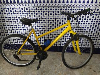 Lote 10 Bicicletas: 7 Montaña, 3 Carrera