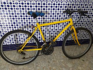 Lote 10 Bicicletas: 7 Montaña, 3 Carrera