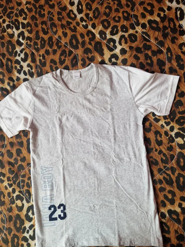 Maglietta grigia con stampa INA BOY 23