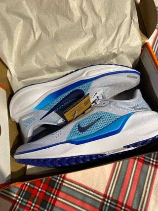 Zapatillas Nike Pegasus 41 Azul/Blanco