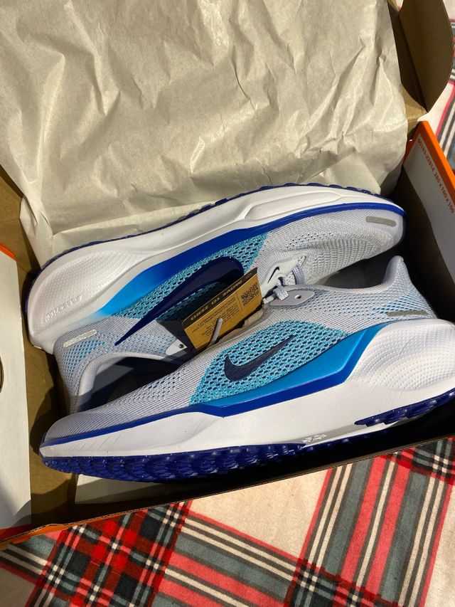 Zapatillas Nike Pegasus 41 Azul/Blanco