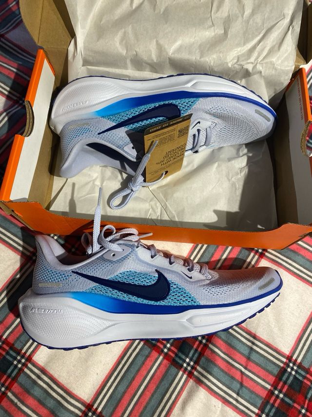 Zapatillas Nike Pegasus 41 Azul/Blanco