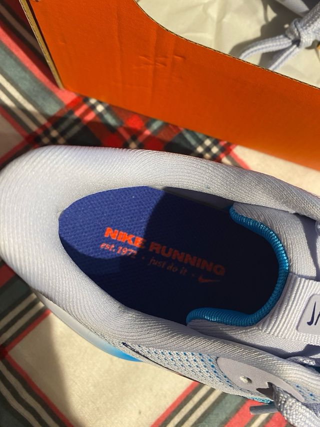 Zapatillas Nike Pegasus 41 Azul/Blanco