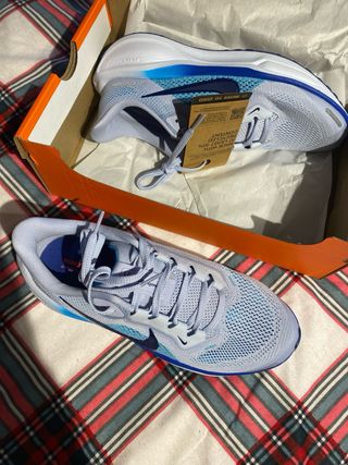 Zapatillas Nike Pegasus 41 Azul/Blanco