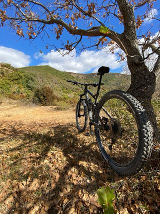 Cube Stereo 120 Race 29 Alluminio